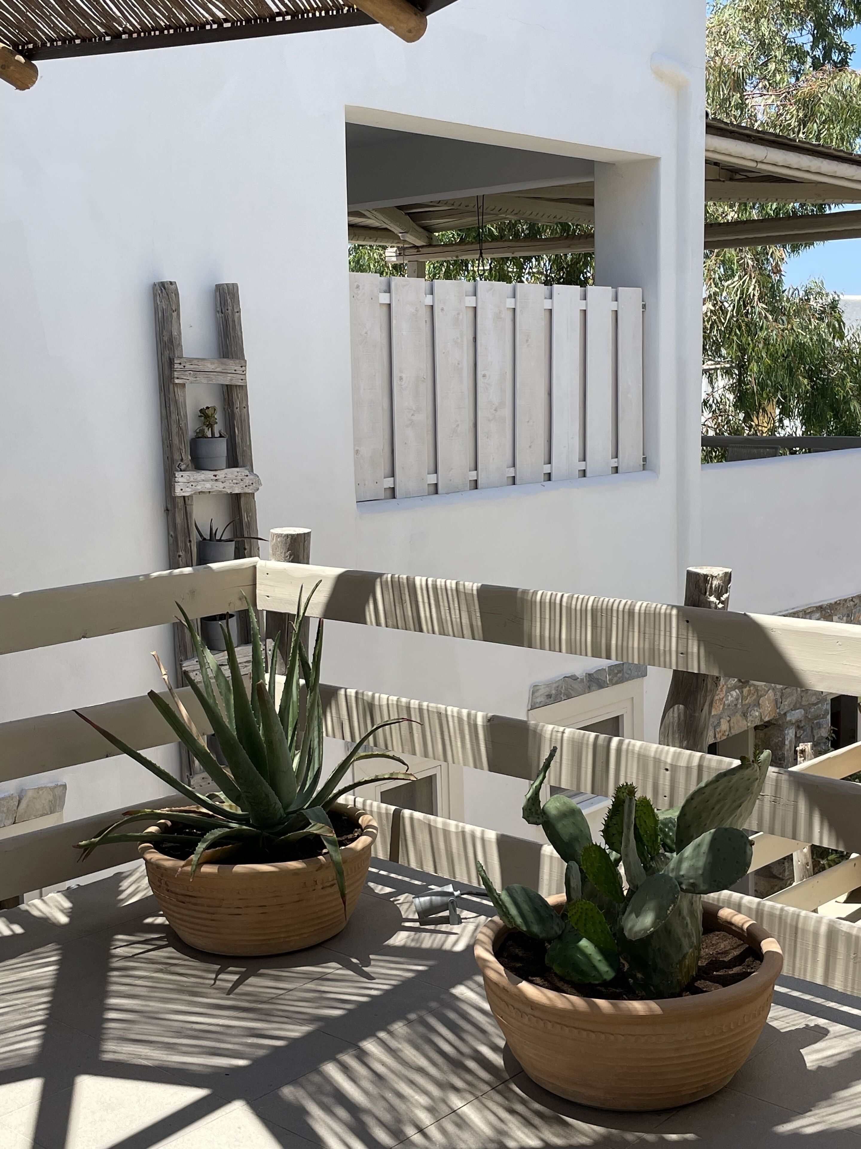 A balcony with two potted plants, a wooden bench, and a white wall with a window.
