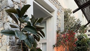 Un bâtiment en pierre avec une grande plante en pot et une porte.
