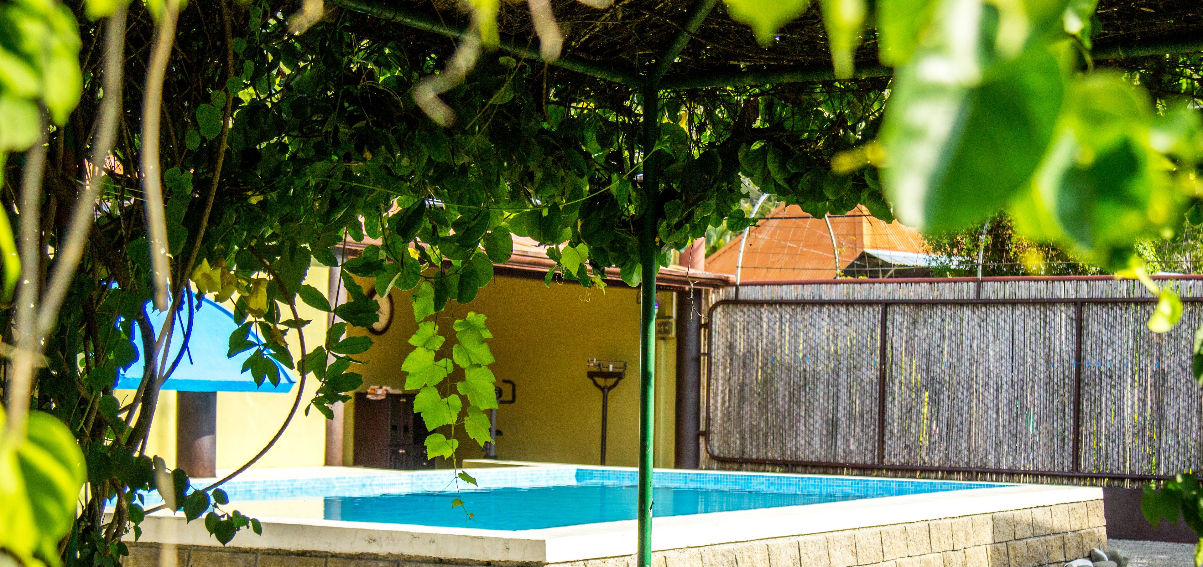 Outdoor pool, a waterfall pool, free pool cabanas