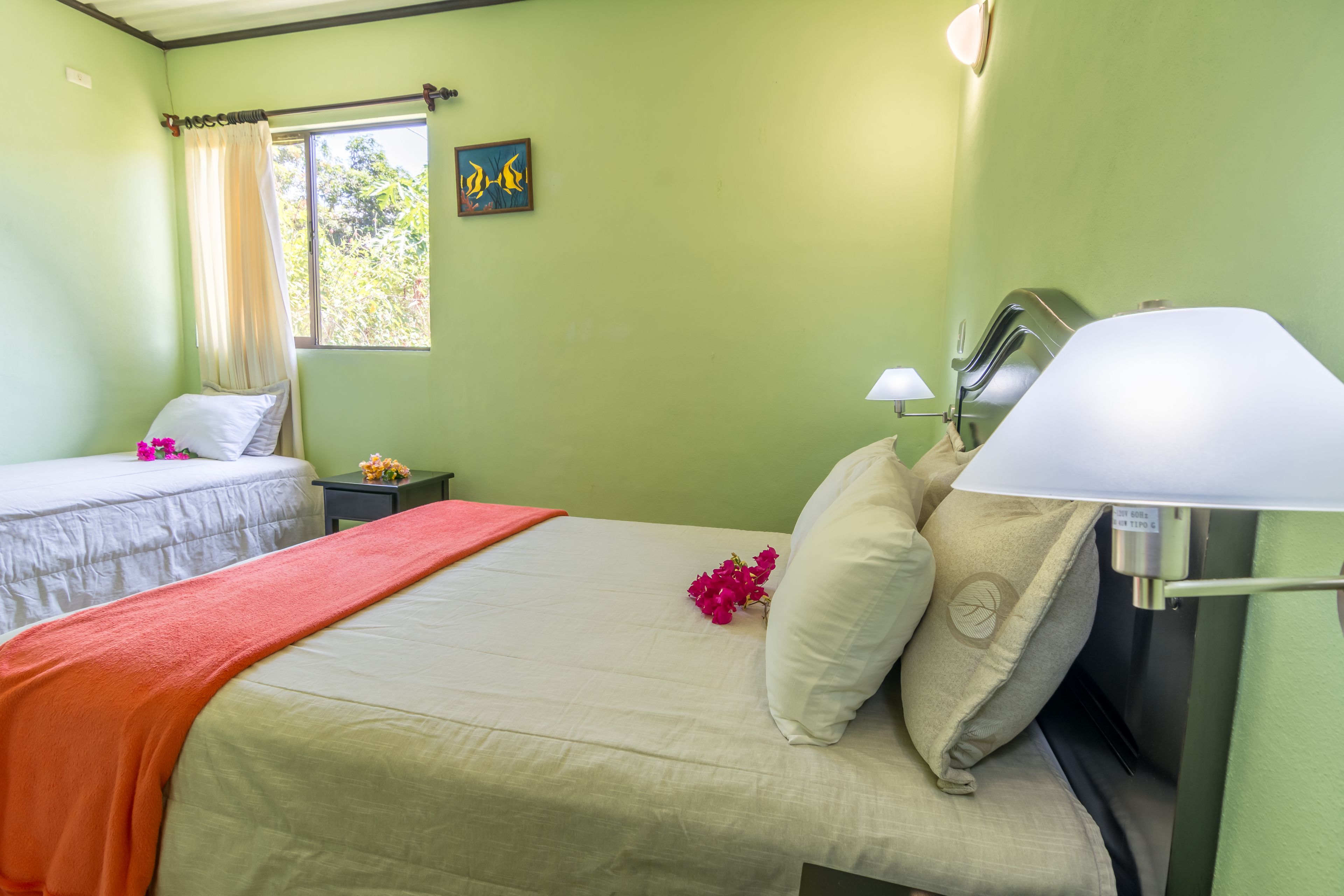 Une chambre avec deux lits, une fenêtre avec des rideaux, une table de chevet, une lampe et un tableau au mur.