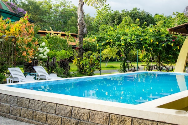 Una piscina al aire libre, una piscina con cascada