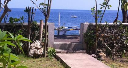 Amed Sari Beach Guesthouse