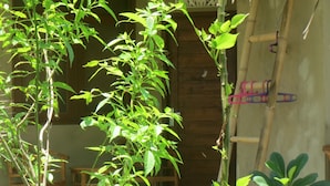 Hiên