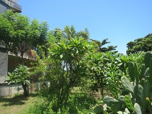 Jardín