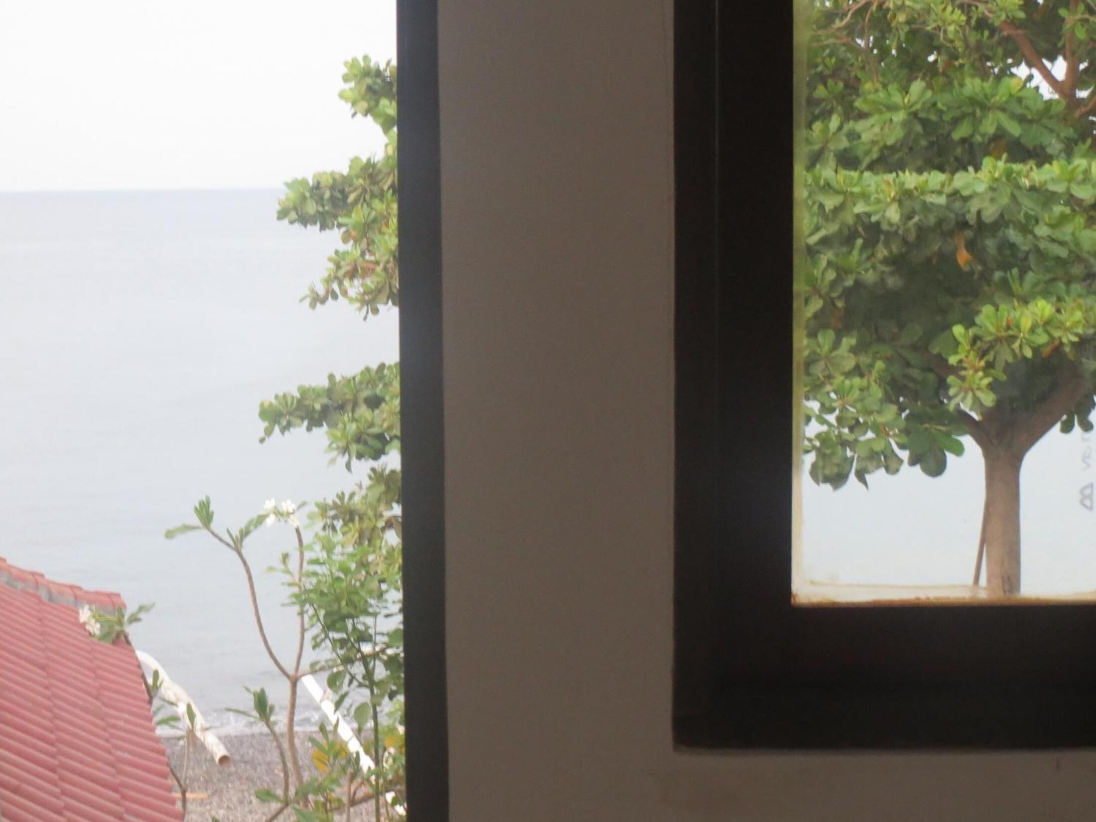 A framed window with a view of a tree and a body of water.
