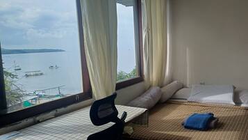 Panoramic Double Room | Desk, laptop workspace, free WiFi