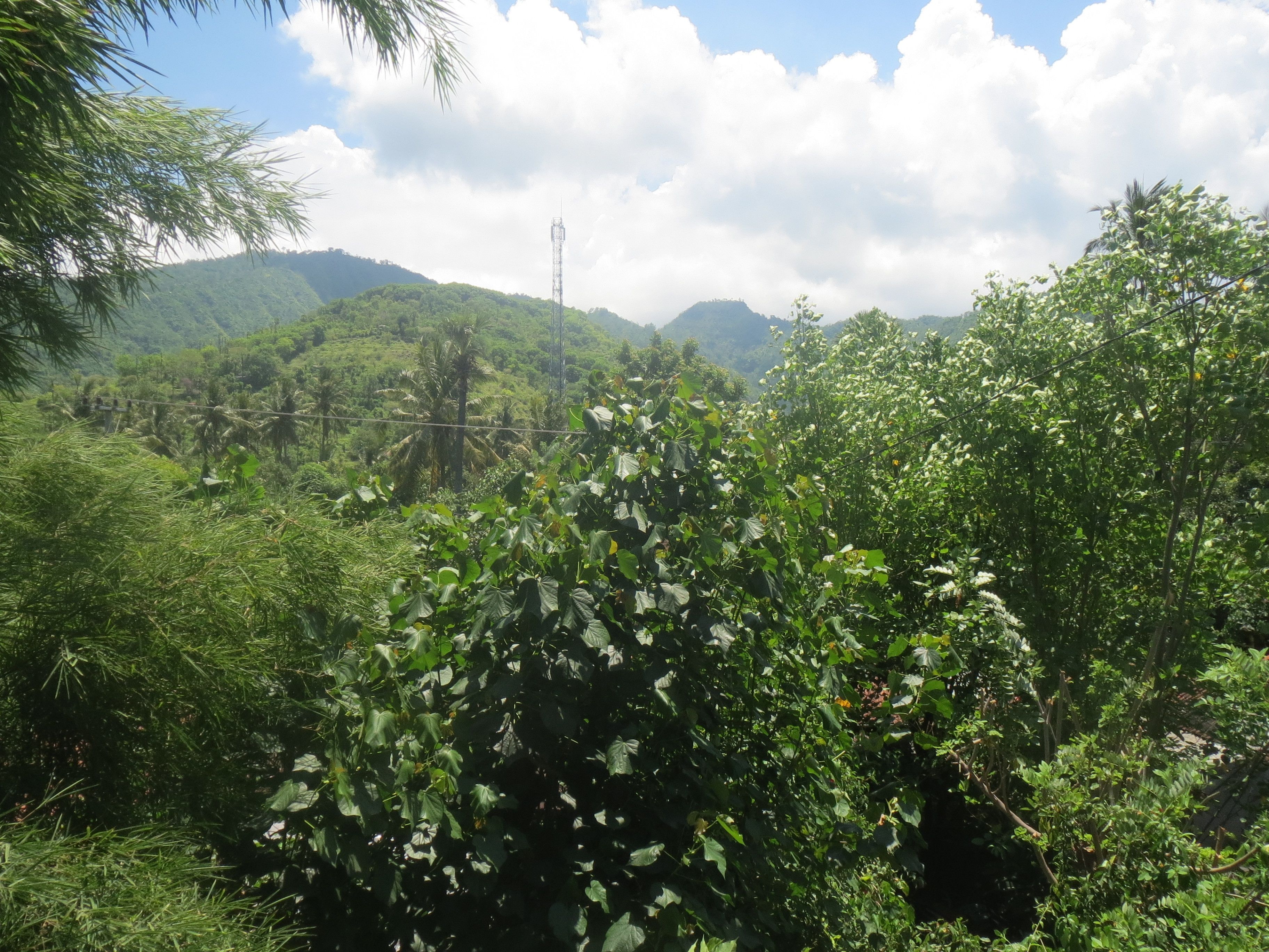 A lush green landscape with dense vegetation and a distant communication tower.