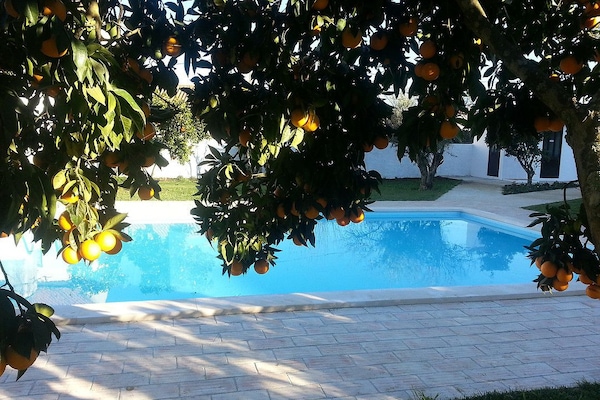 Una piscina al aire libre, sillones reclinables de piscina