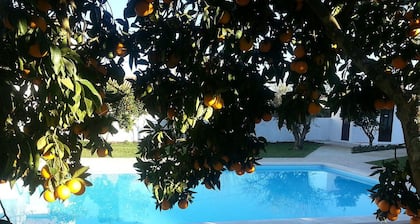 Casas da Moagem Turismo Rural