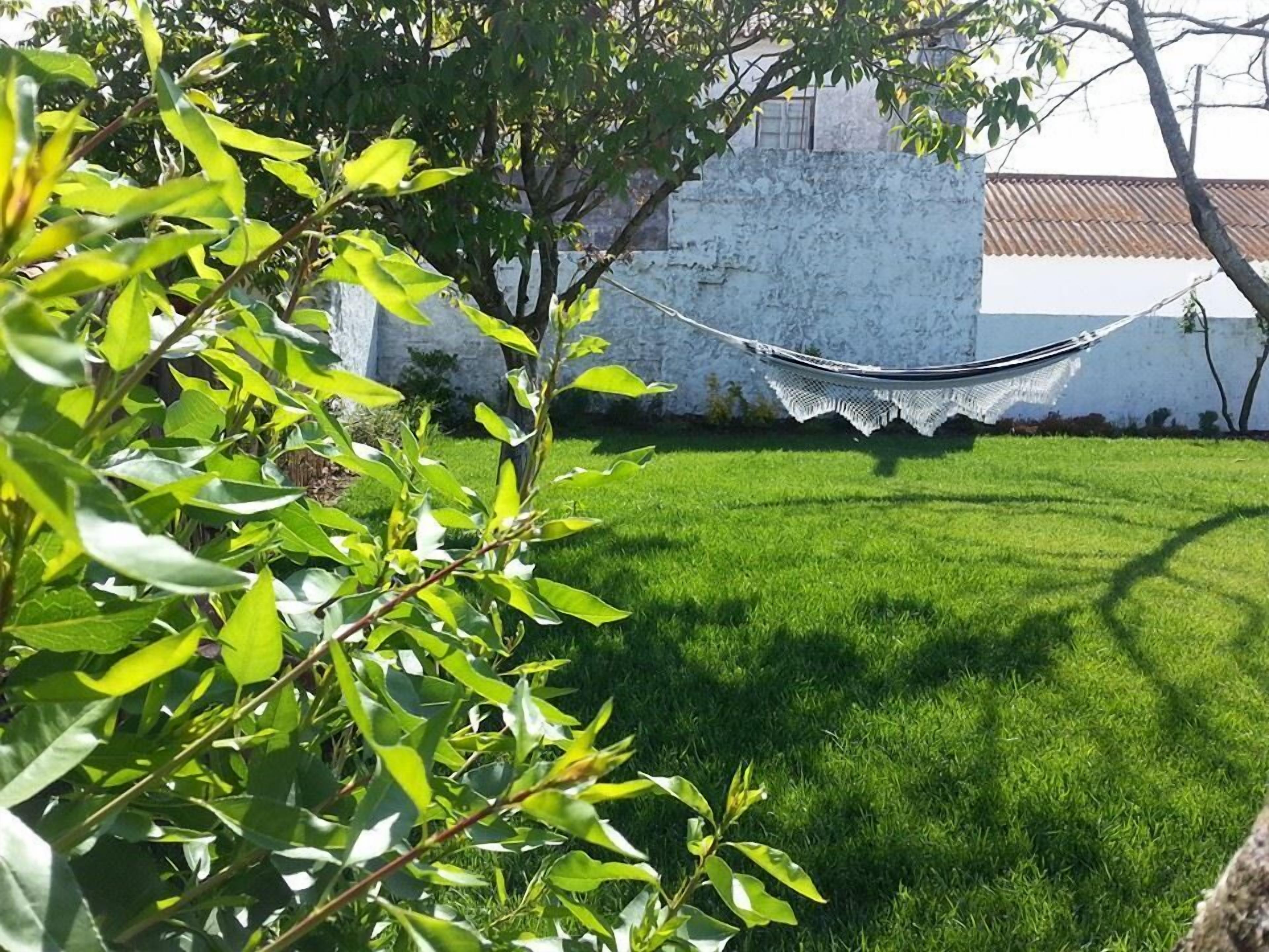 A hammock tied between two trees in a grassy yard with a white wall in the background.