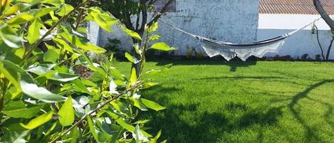 A hammock tied between two trees in a grassy yard with a white wall in the background.