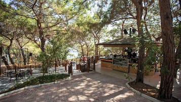 3 bars, bar en bord de piscine, bar de plage