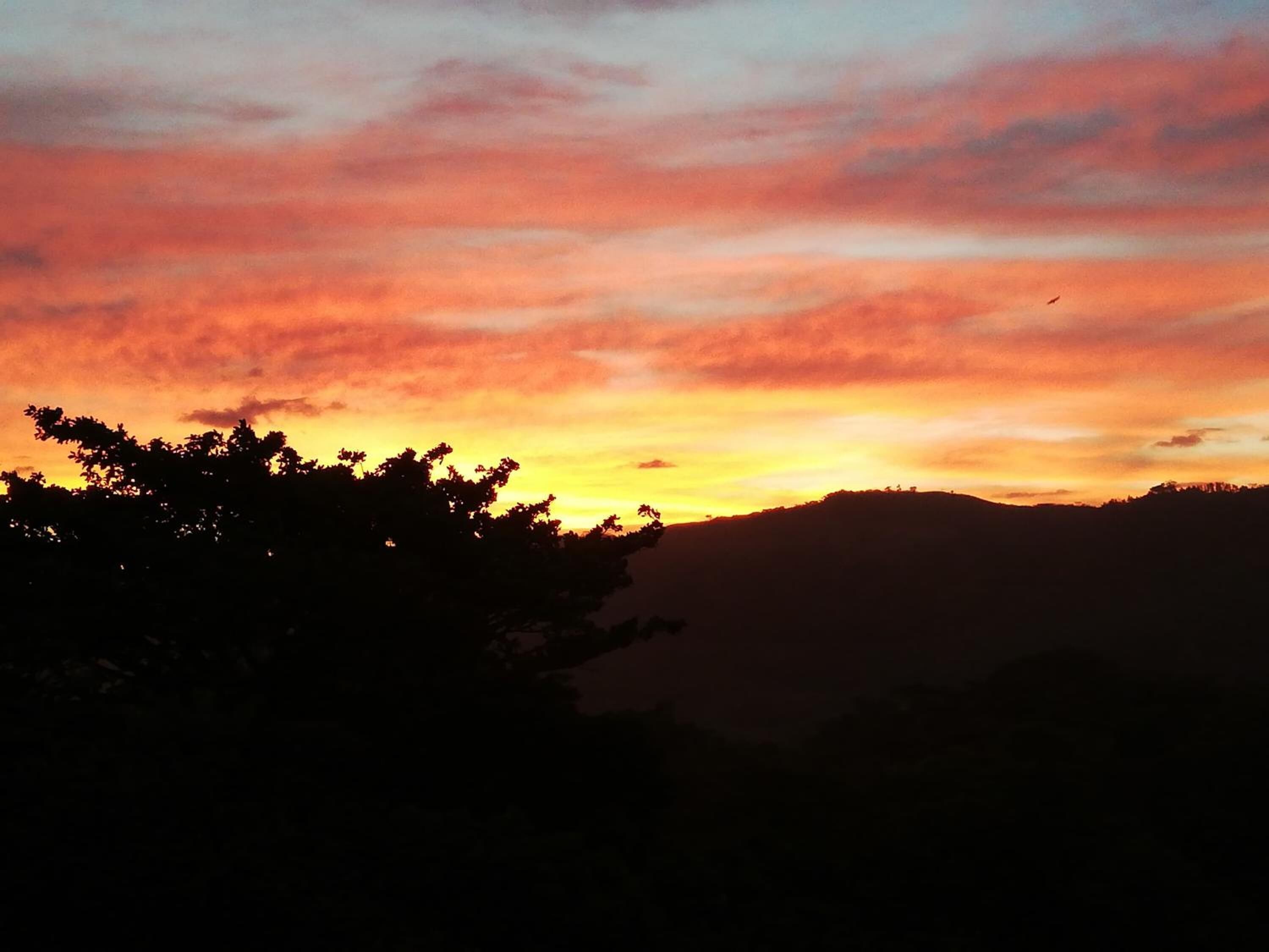 Un atardecer sobre un paisaje montañoso con árboles silueteados.