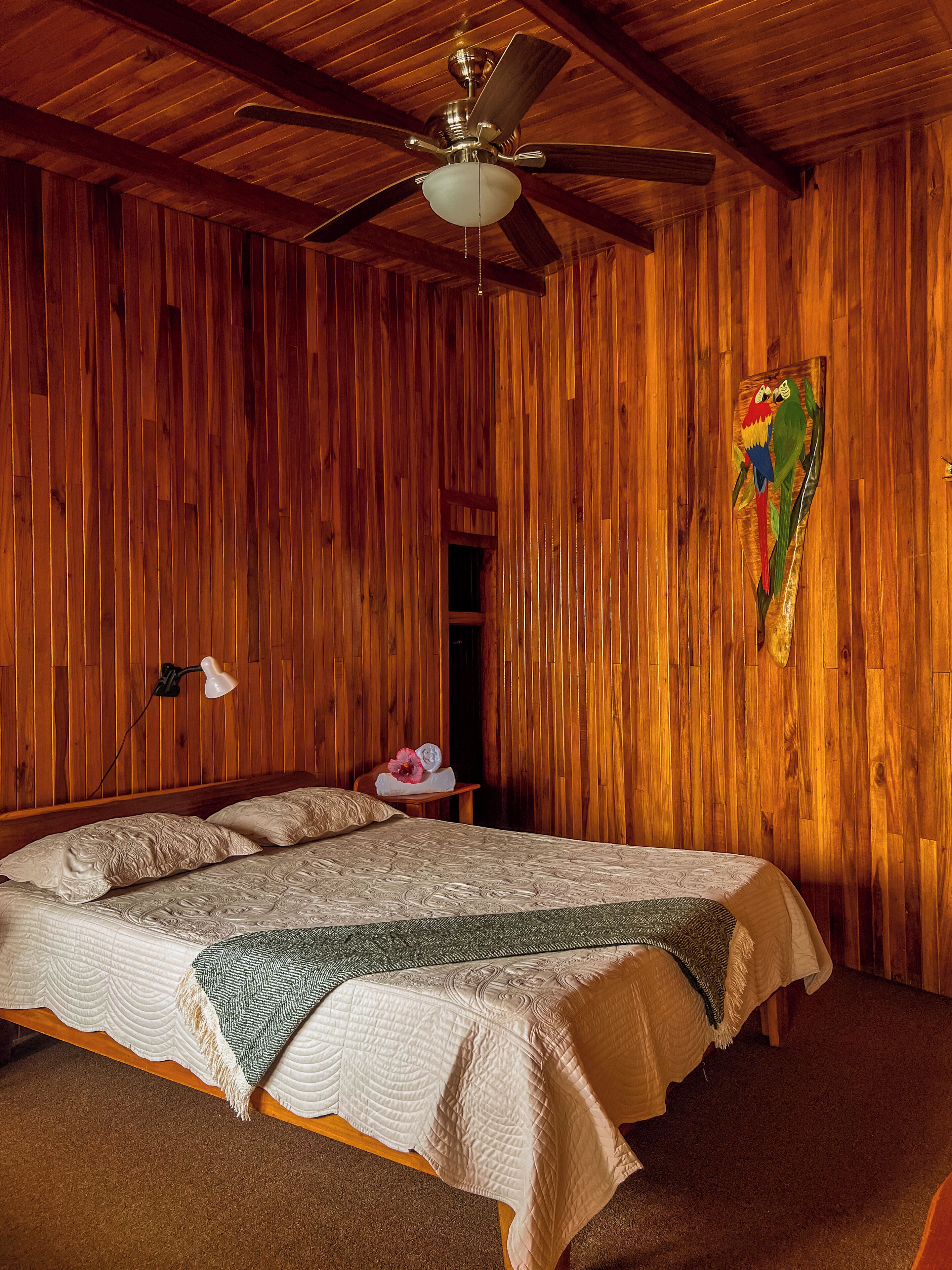 Single Room | Free WiFi, bed sheets