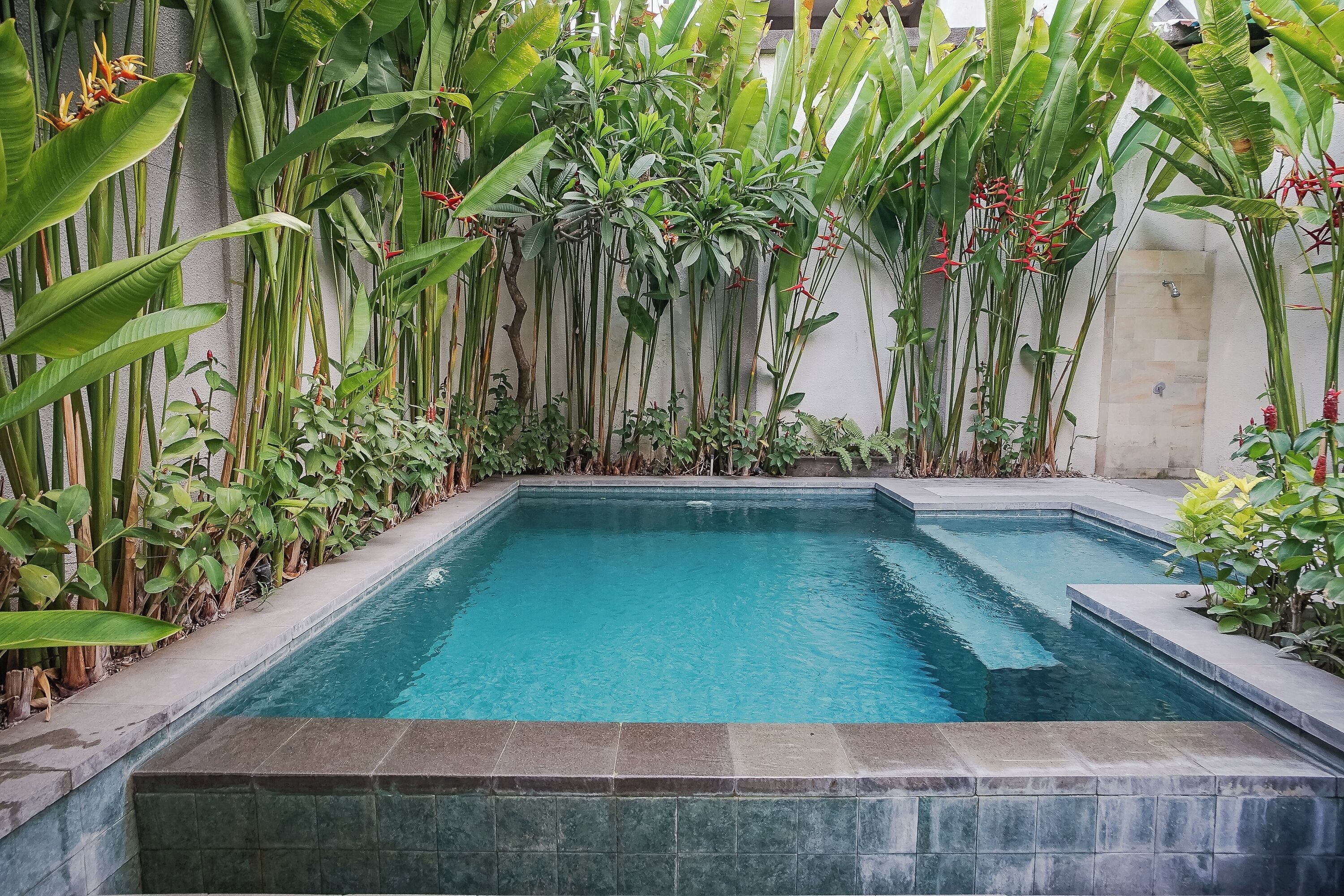 A rectangular pool with clear blue water, surrounded by lush green tropical plants and a tiled edge.