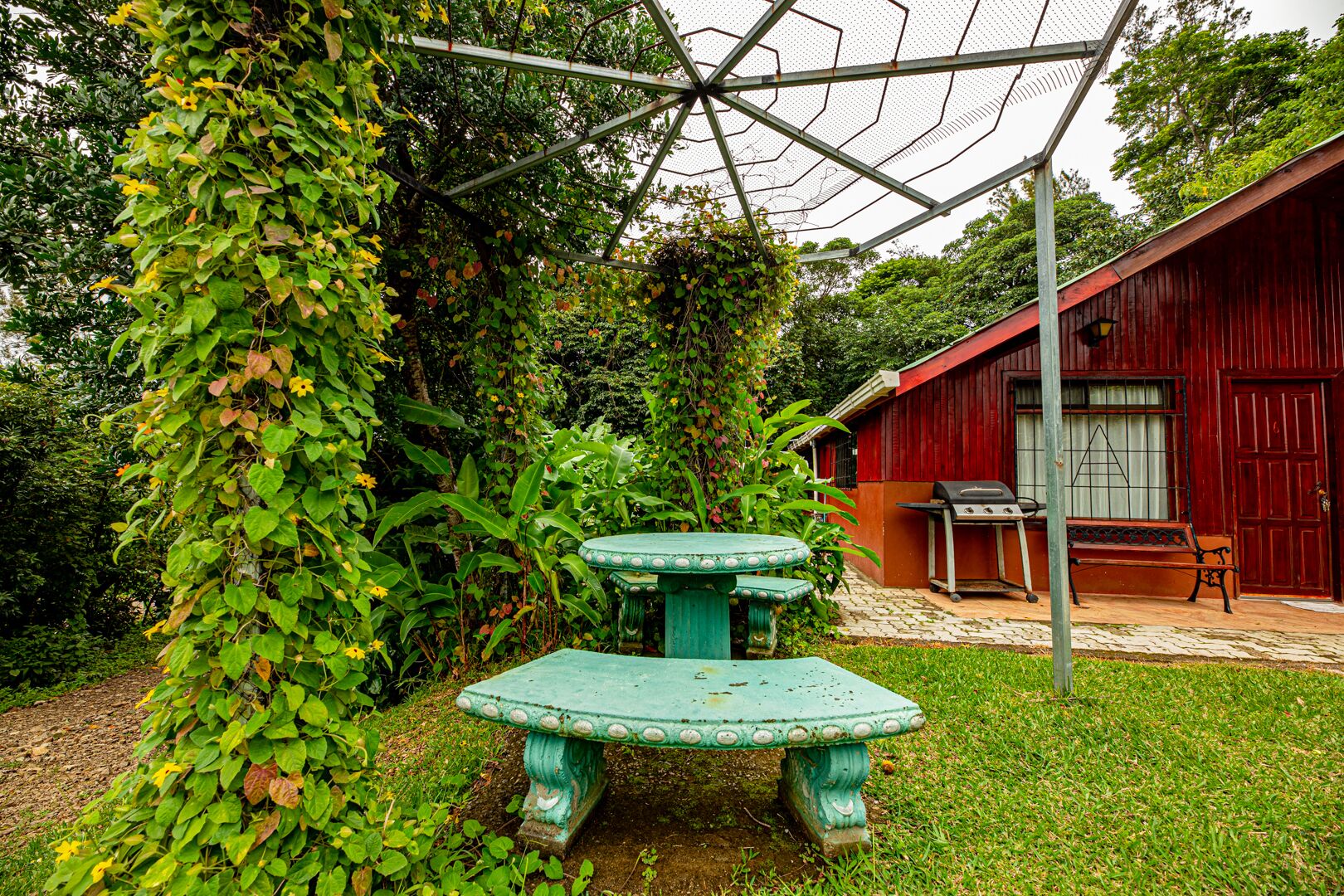 A rustic outdoor area with a green table and bench, surrounded by lush greenery and a red building with a window and door.
