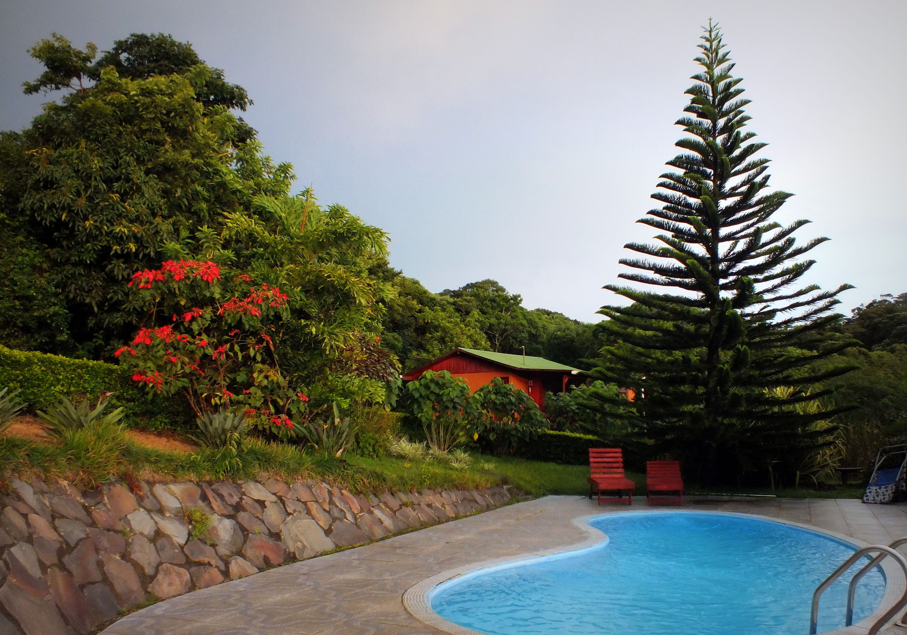 A swimming pool surrounded by a stone wall, lush greenery, and a red-roofed building.