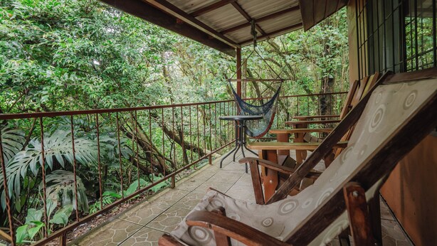 Un espacio exterior techado con una hamaca, muebles de madera y vistas a vegetación densa.