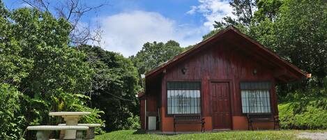 A wooden cabin with a large window and a door, surrounded by lush greenery.