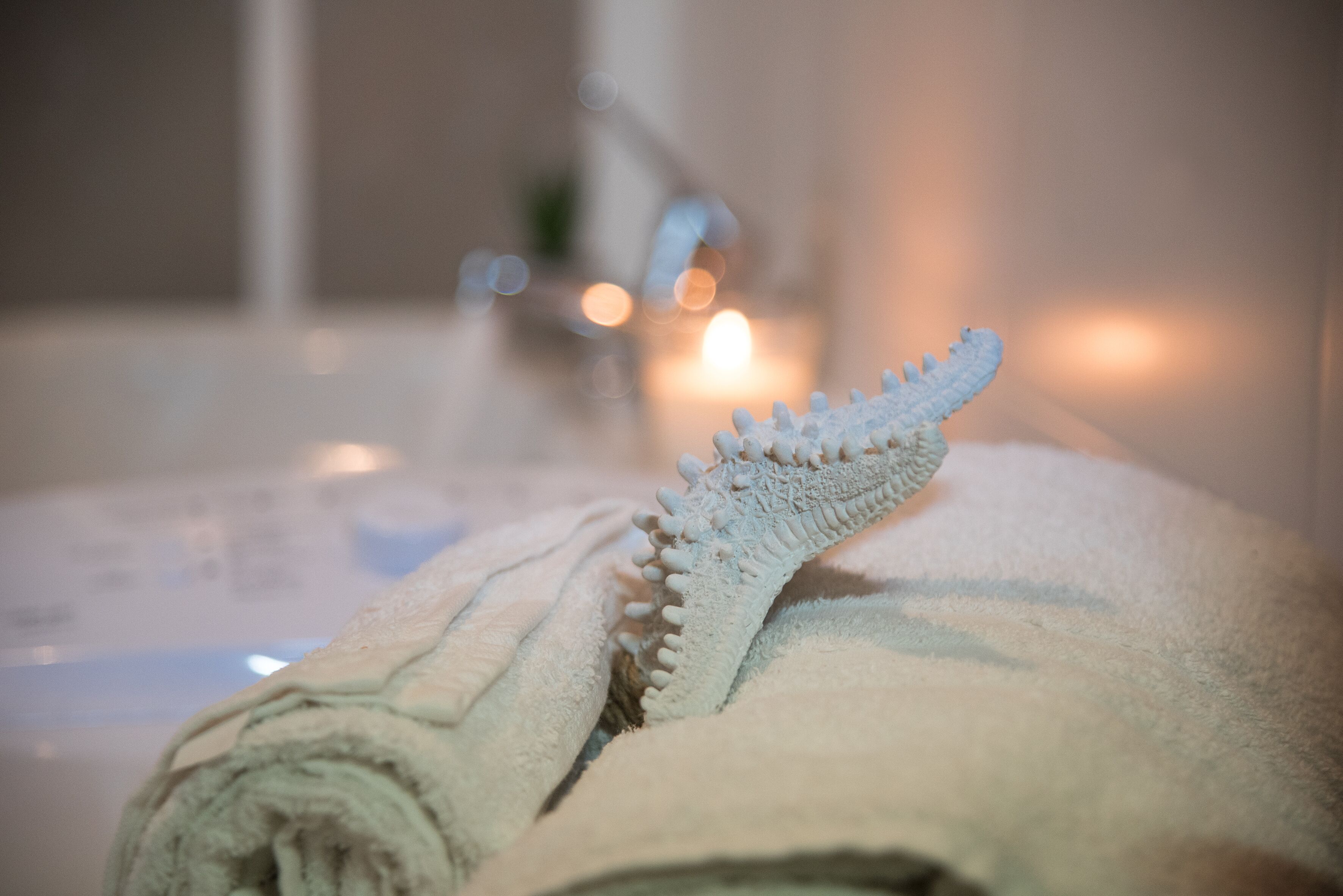 Sèche-cheveux, serviettes fournies, shampoing