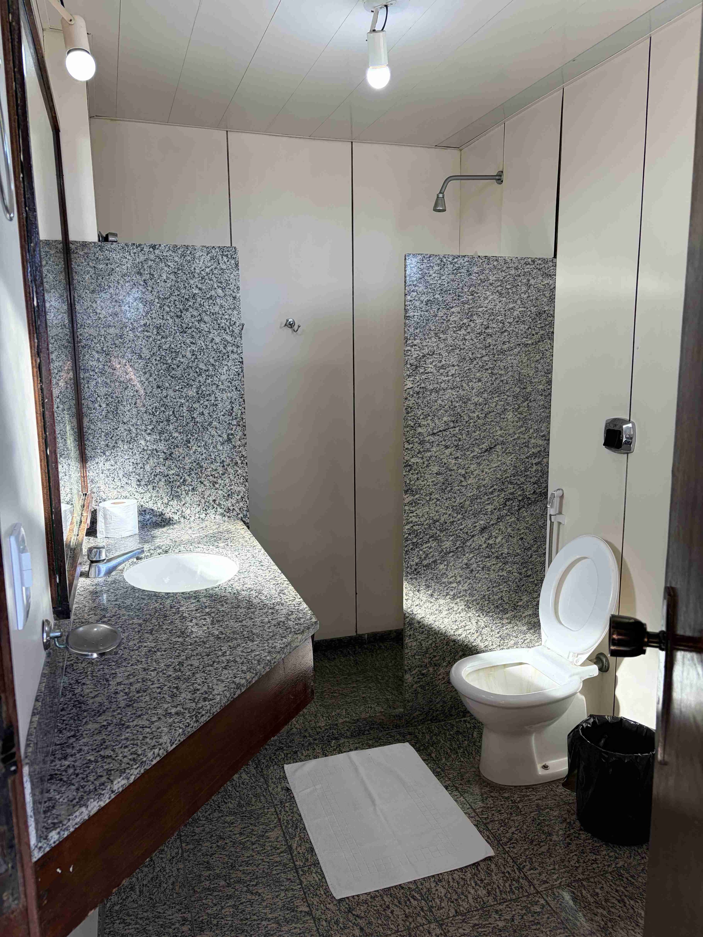 A bathroom with a granite countertop sink, a toilet, and a shower.