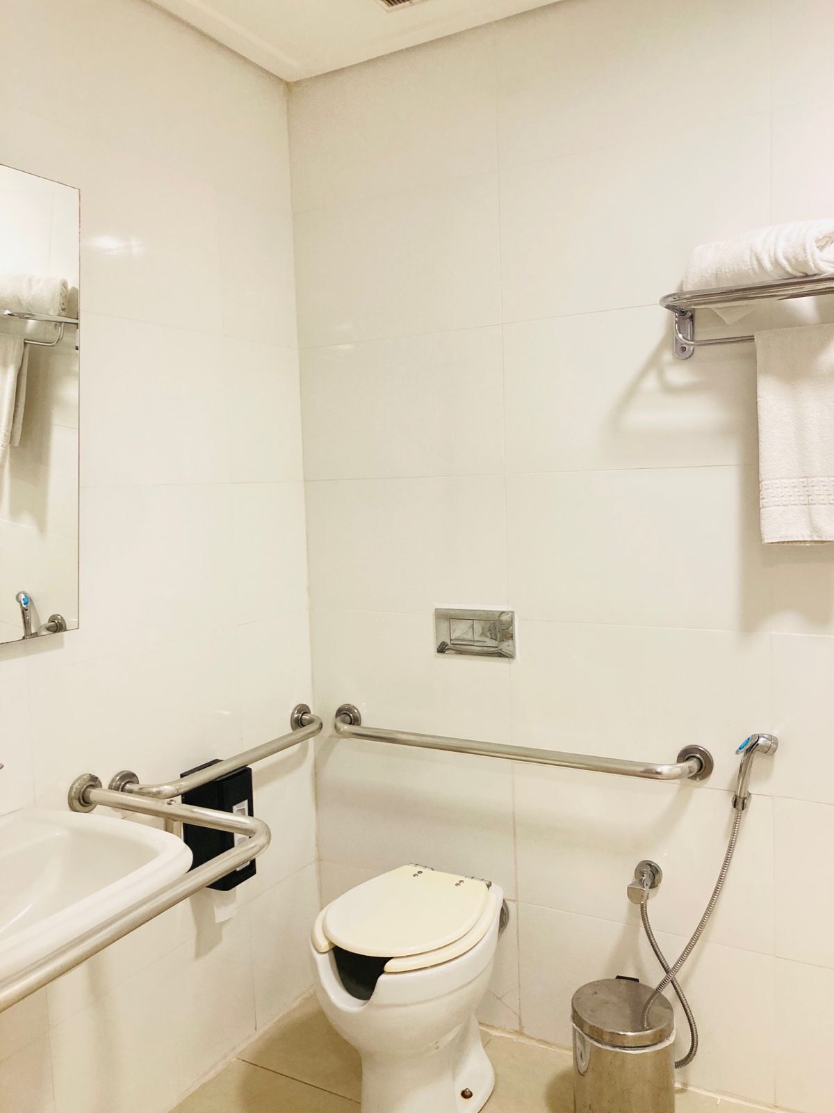 A bathroom with a toilet, handrails, a sink, a mirror, and a towel rack.