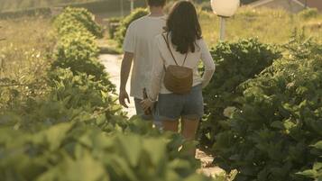 A couple walking on a path surrounded by greenery with buildings in the background.