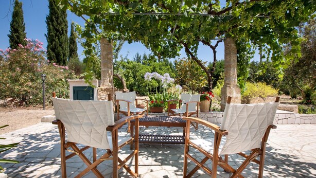 An outdoor seating area with a table and chairs under a pergola, surrounded by greenery and plants. - Villa Teresa (Ugento)