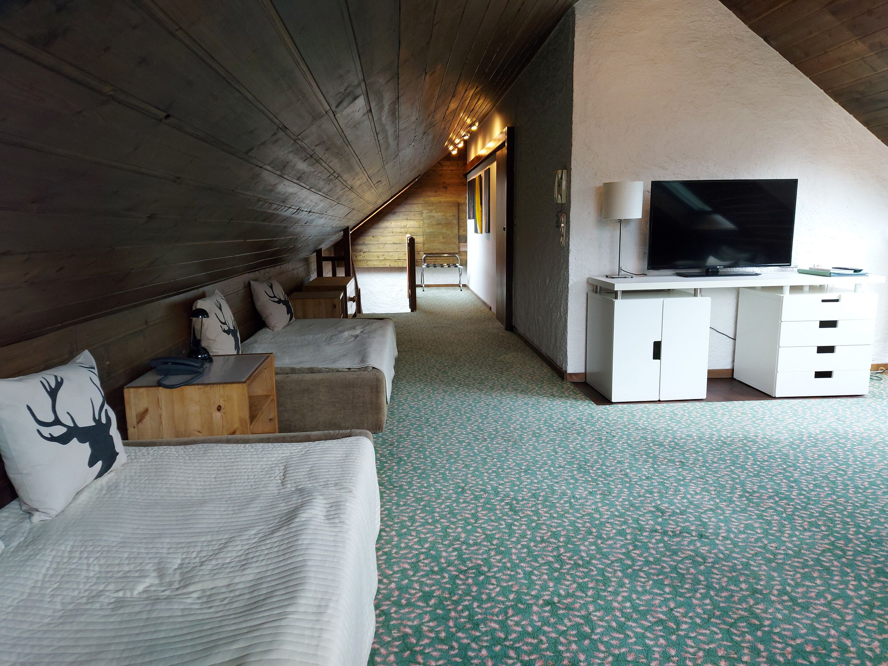 A room with a bed, a desk with a TV, and a patterned carpet.
