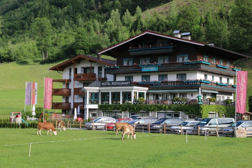 A hotel with a restaurant on the ground floor, surrounded by parked cars and grazing cows.