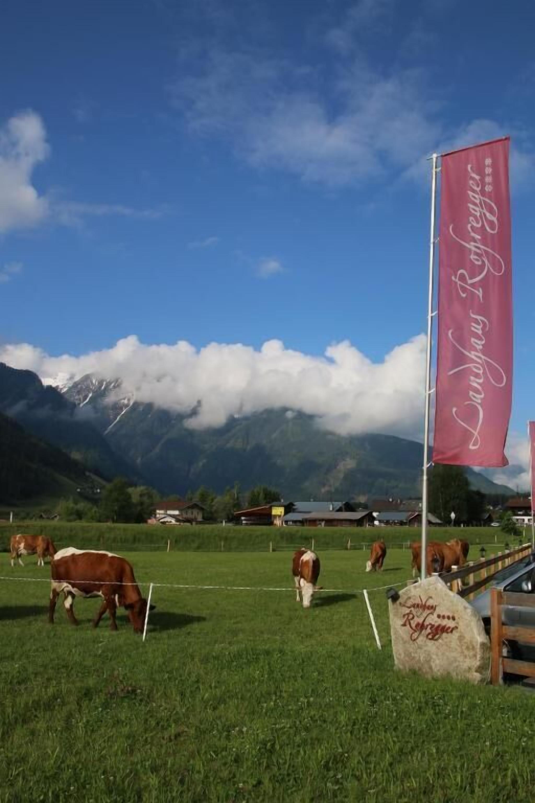A rural landscape with cows grazing, a mountain backdrop, and a flag with "Landsglück" written on it.