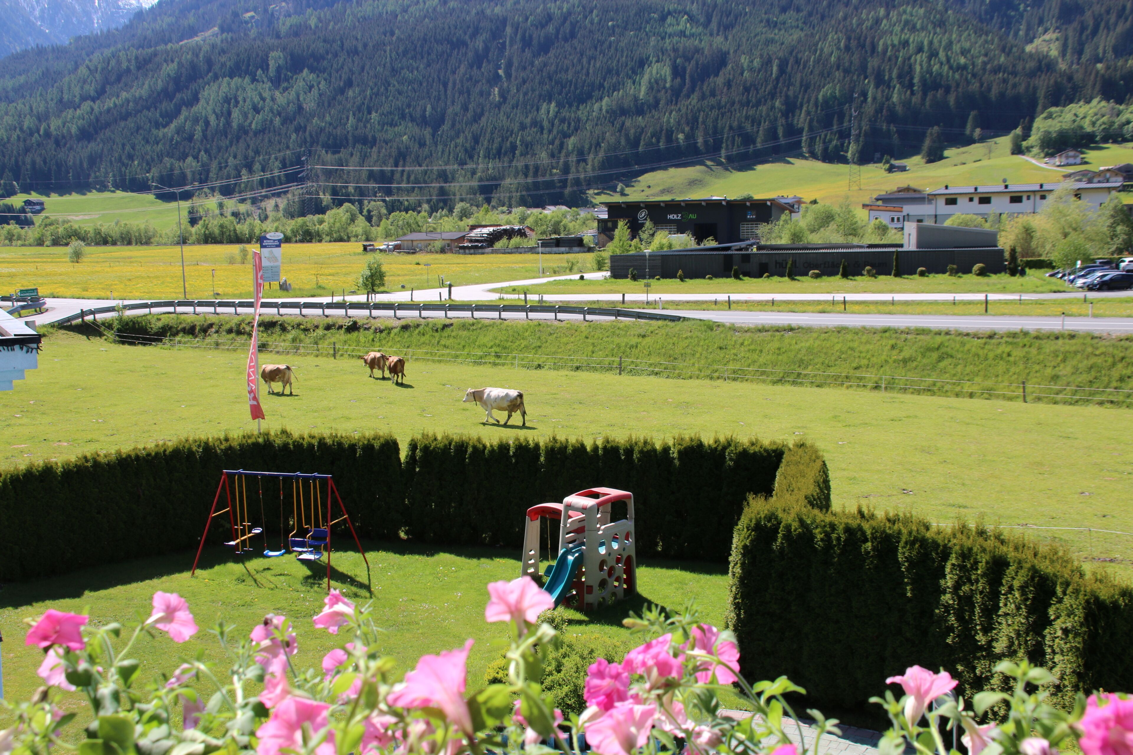 Un paysage rural avec une aire de jeux, des vaches qui paissent et un bâtiment en arrière-plan.