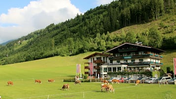 Situated in a lush valley, this hotel offers scenic views from its upper-floor balcony.