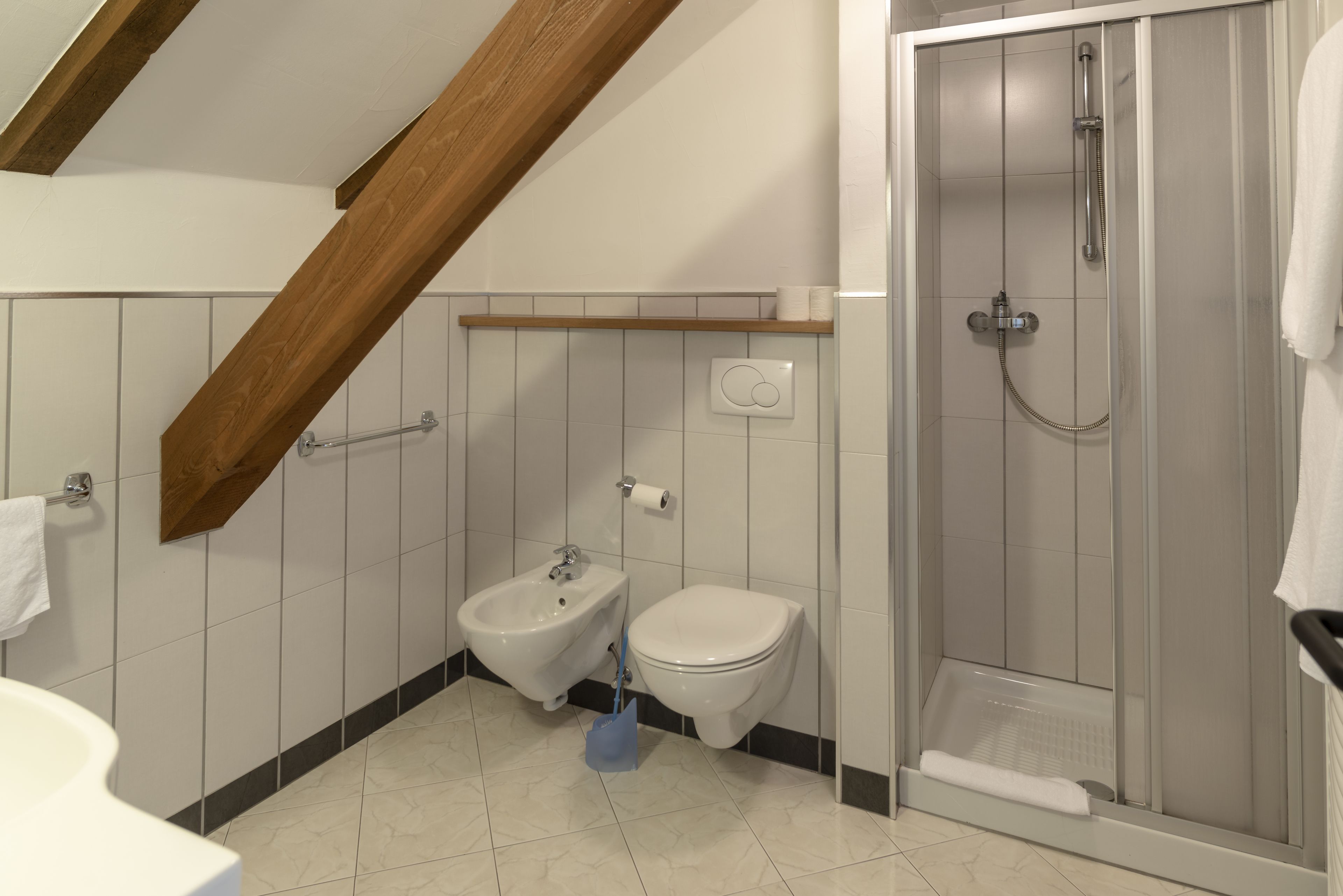 double or twin room | bathroom | shower, towels