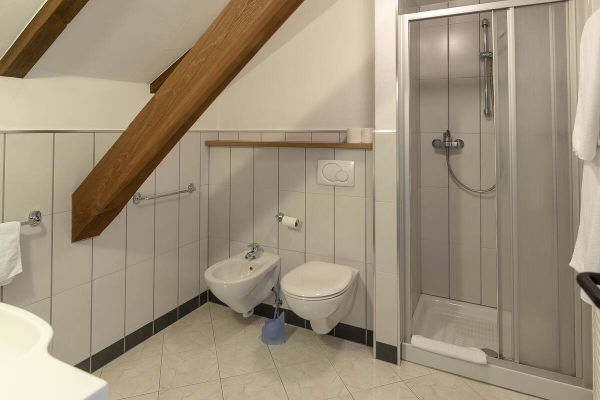 double or twin room | bathroom | shower, towels