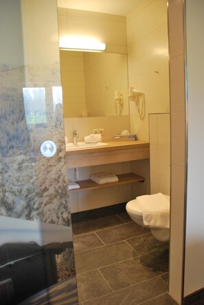 A bathroom with a toilet, sink, and mirror. - Hotel Restaurant Pariente (Schladming)