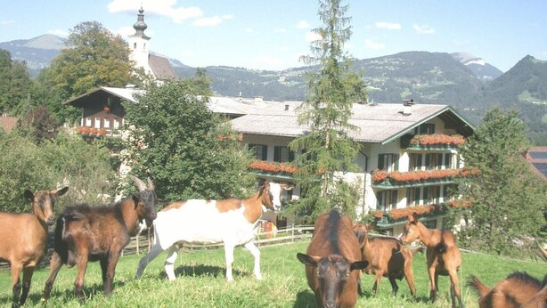 Entorno rural con un edificio rodeado de vegetación y montañas al fondo.
