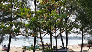 Uma praia com vários barcos ancorados perto da costa, rodeada por árvores.