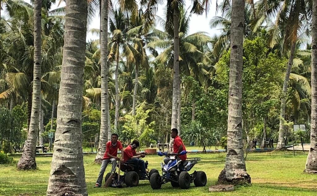 A group of people on all-terrain vehicles in a tropical setting with palm trees.