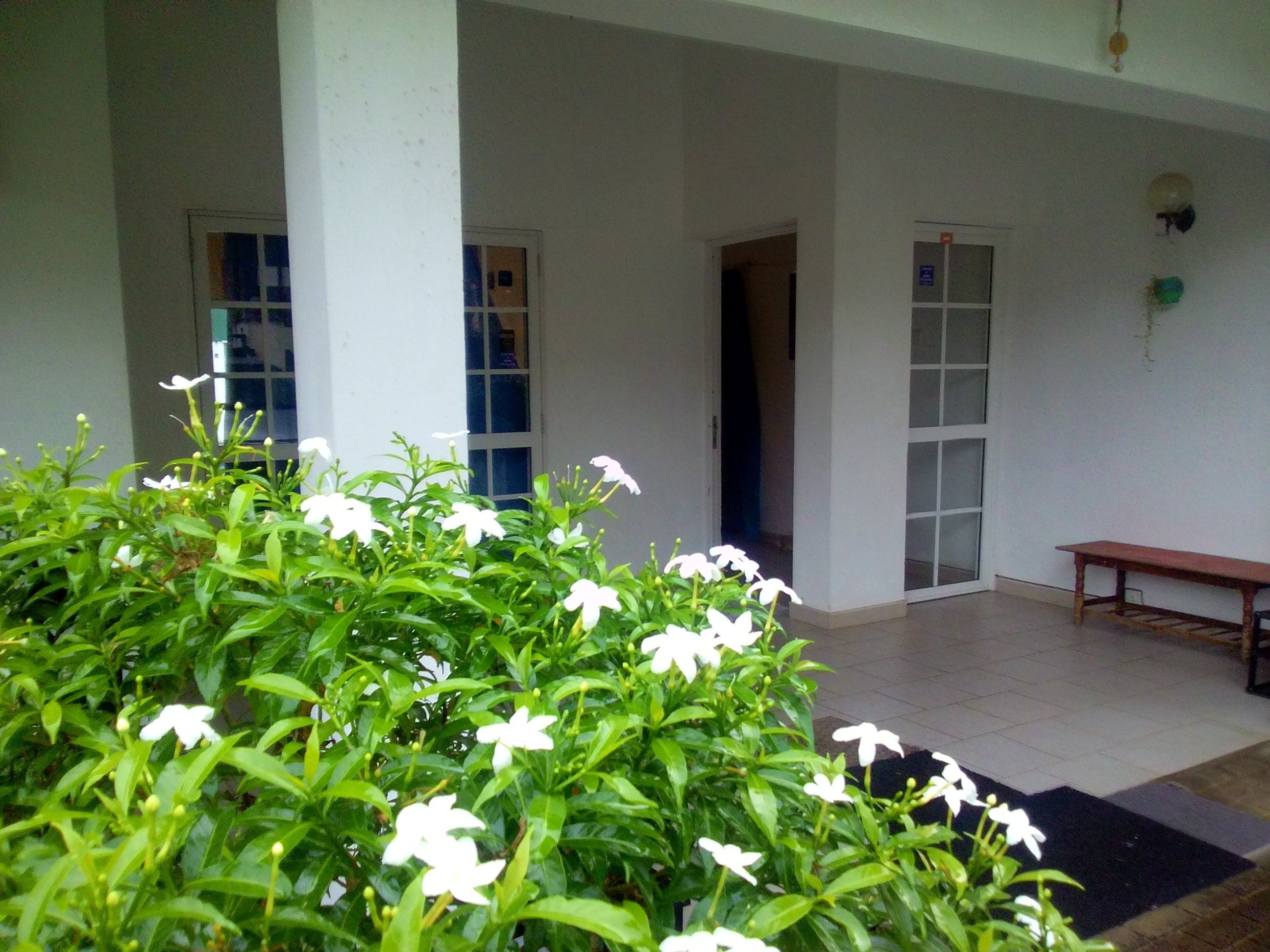 Khuôn viên nơi lưu trú