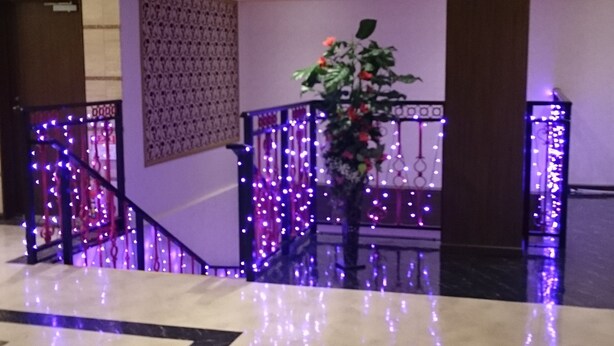 Eine Lobby mit Marmorboden, einer Treppe mit violetter Beleuchtung und einer Zierpflanze.