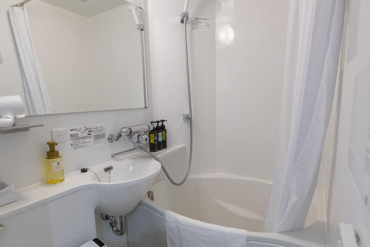 combined shower/bathtub, hair dryer, slippers, bidet