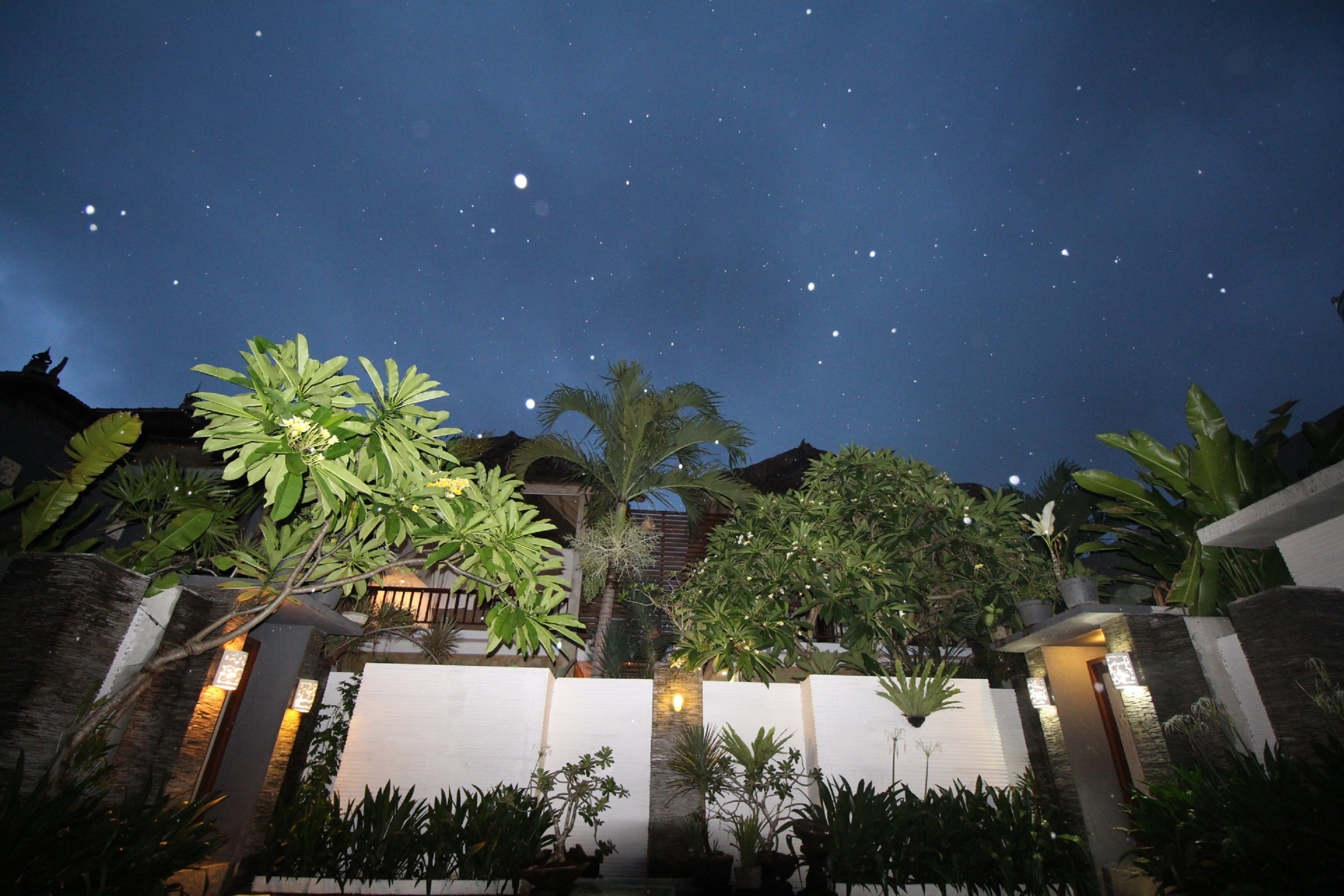 Une vue nocturne d’une cour, avec un ciel étoilé, entourée d’une végétation luxuriante et d’une architecture moderne.
