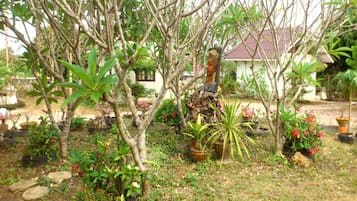 Vườn