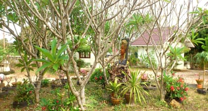 Suan Lamyai Resort