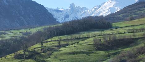 A mountainous landscape with green fields and a village.