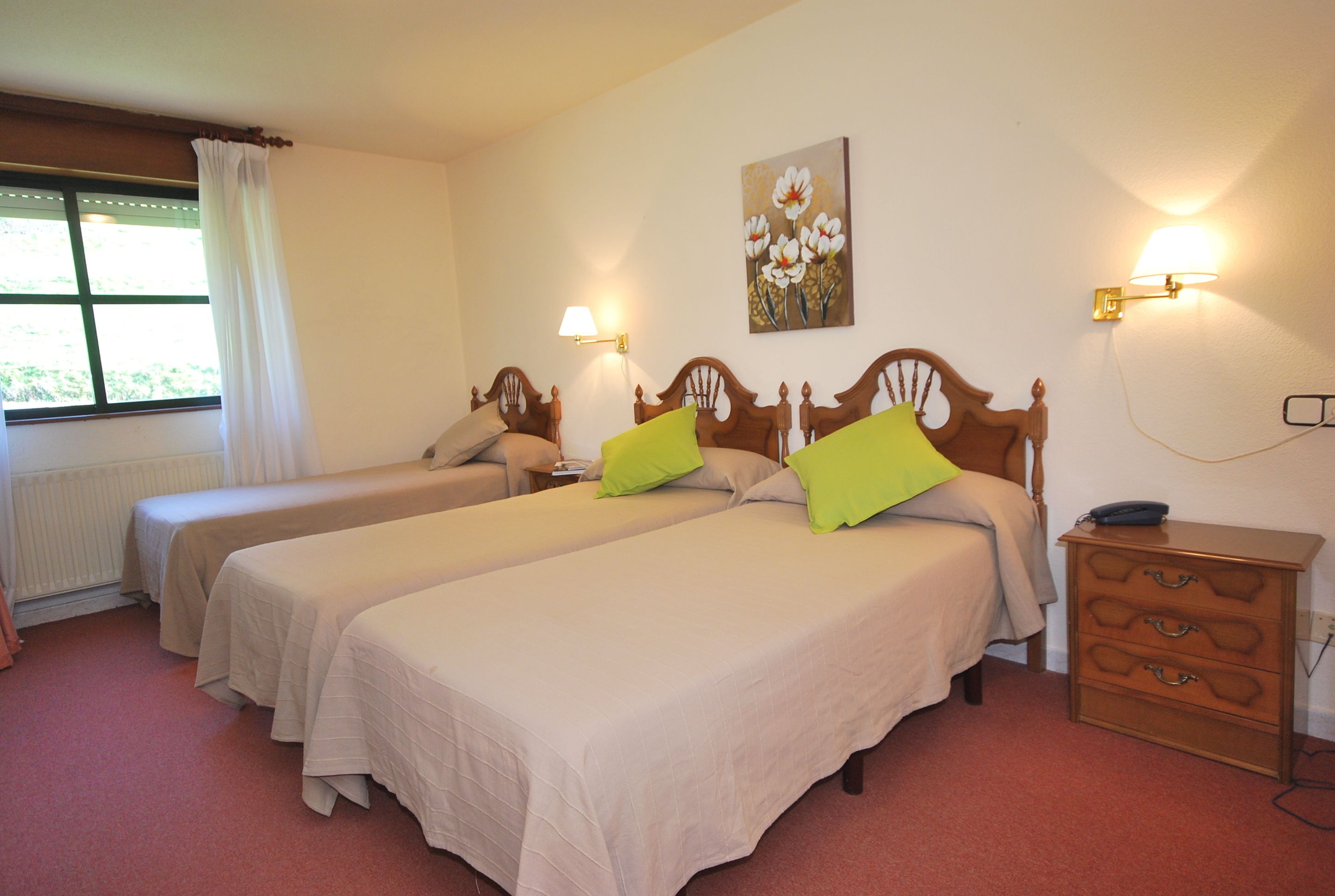 Foto - Hotel Principado de Europa