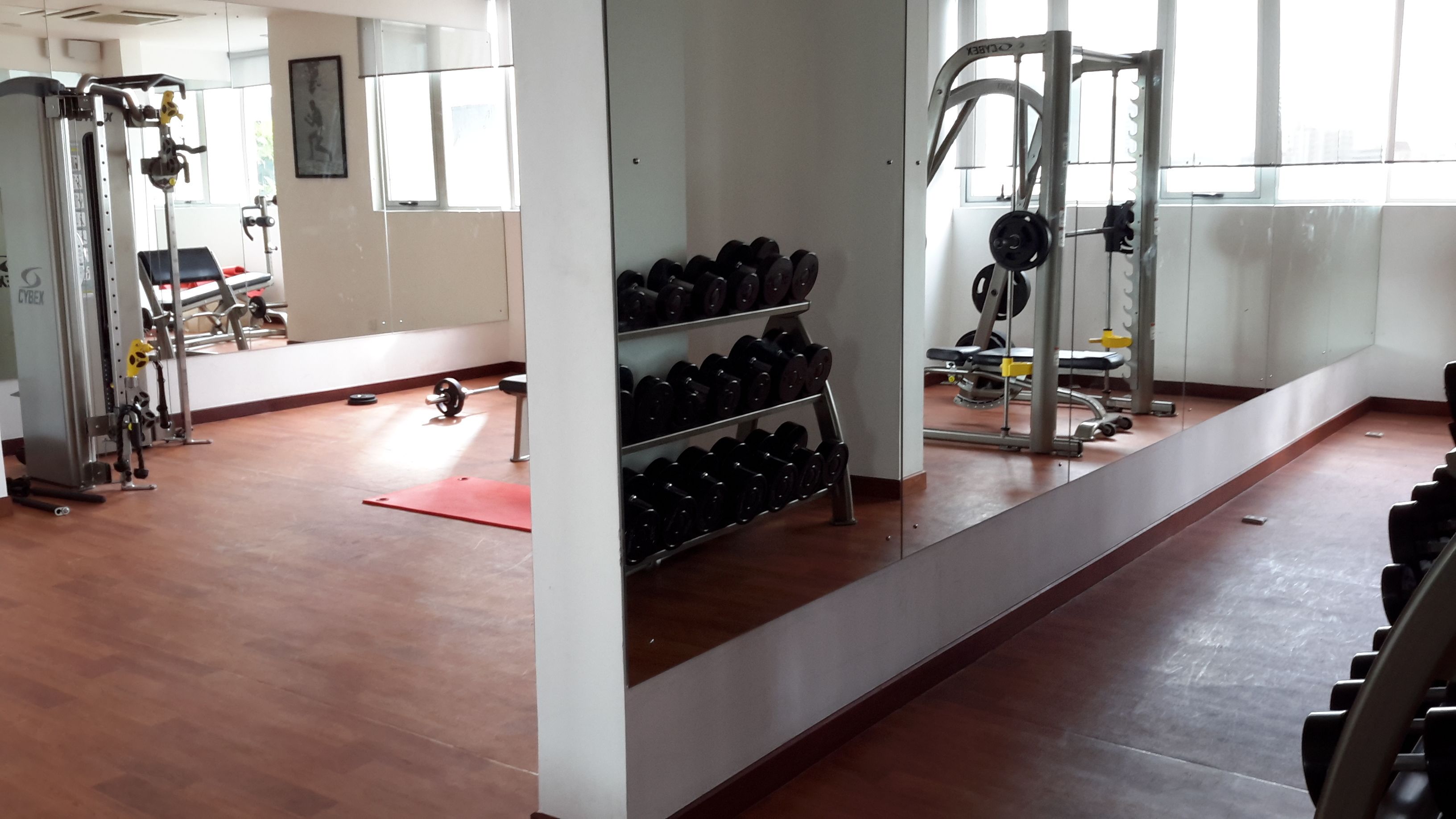 Gimnasio