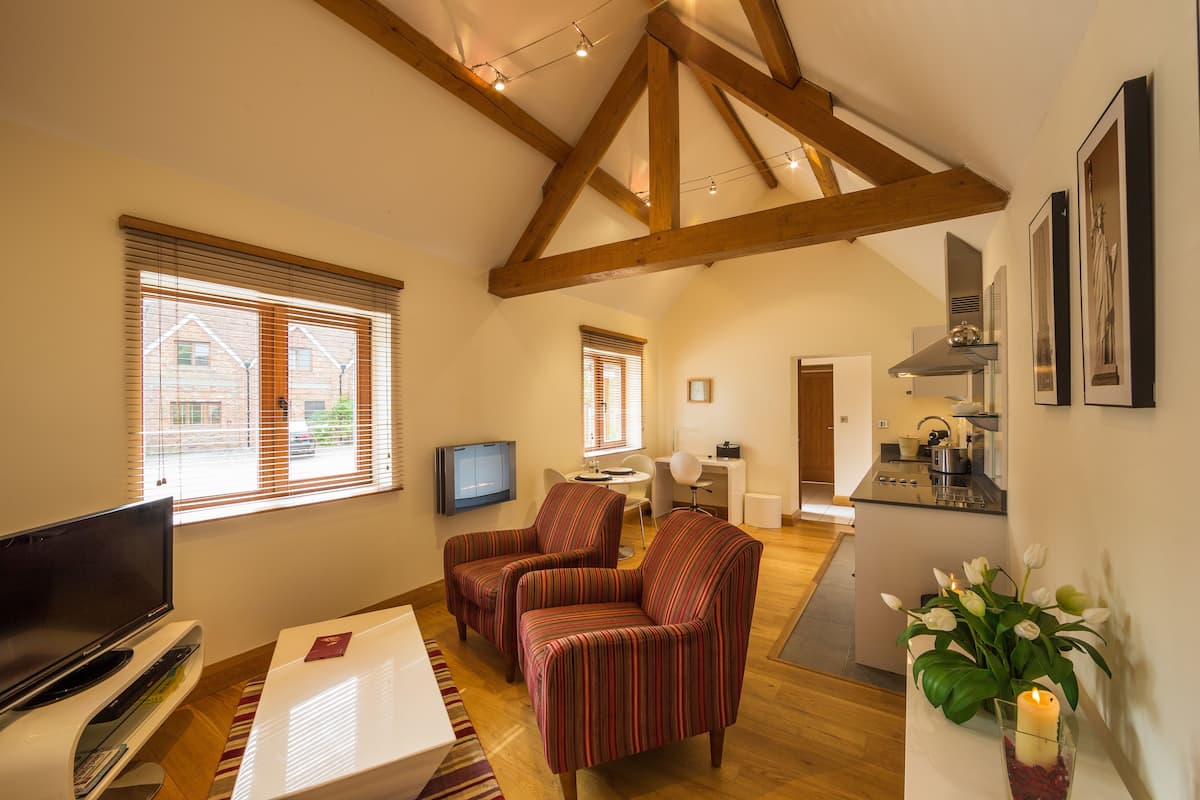 luxury apartment, 1 double bed, ground floor (#1) | living area | flat-screen tv