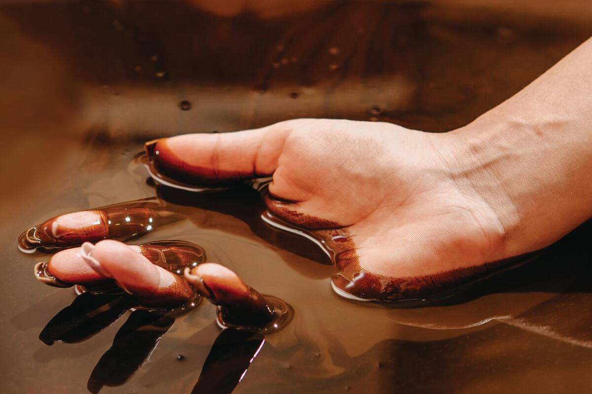 Minibar, coffres-forts dans les chambres, bureau, chambres insonorisées